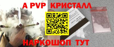 прущие грибы Каменск-Шахтинский