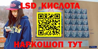 прущие грибы Каменск-Шахтинский