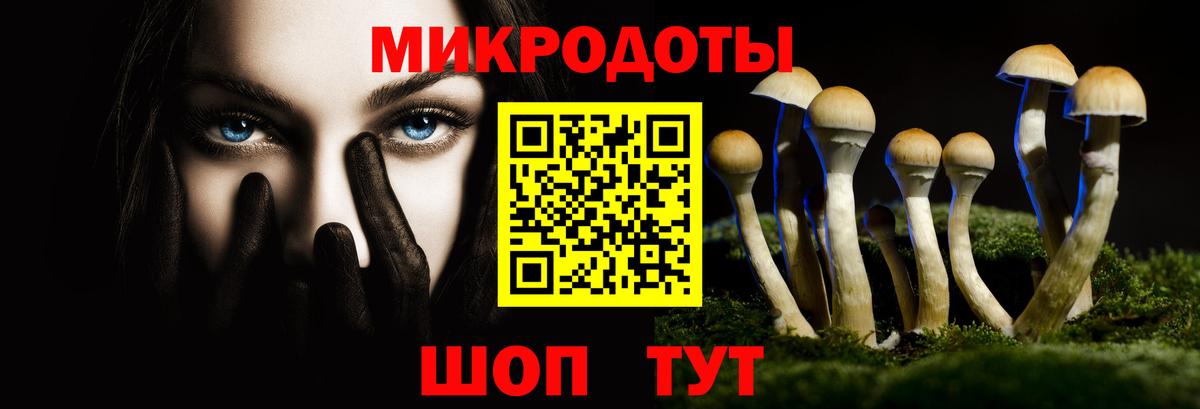 Псилоцибиновые грибы мицелий  Вход с VPN  Домодедово 